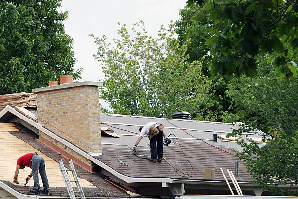 Best Roof Moss and Algae Removal  in Union Park, FL